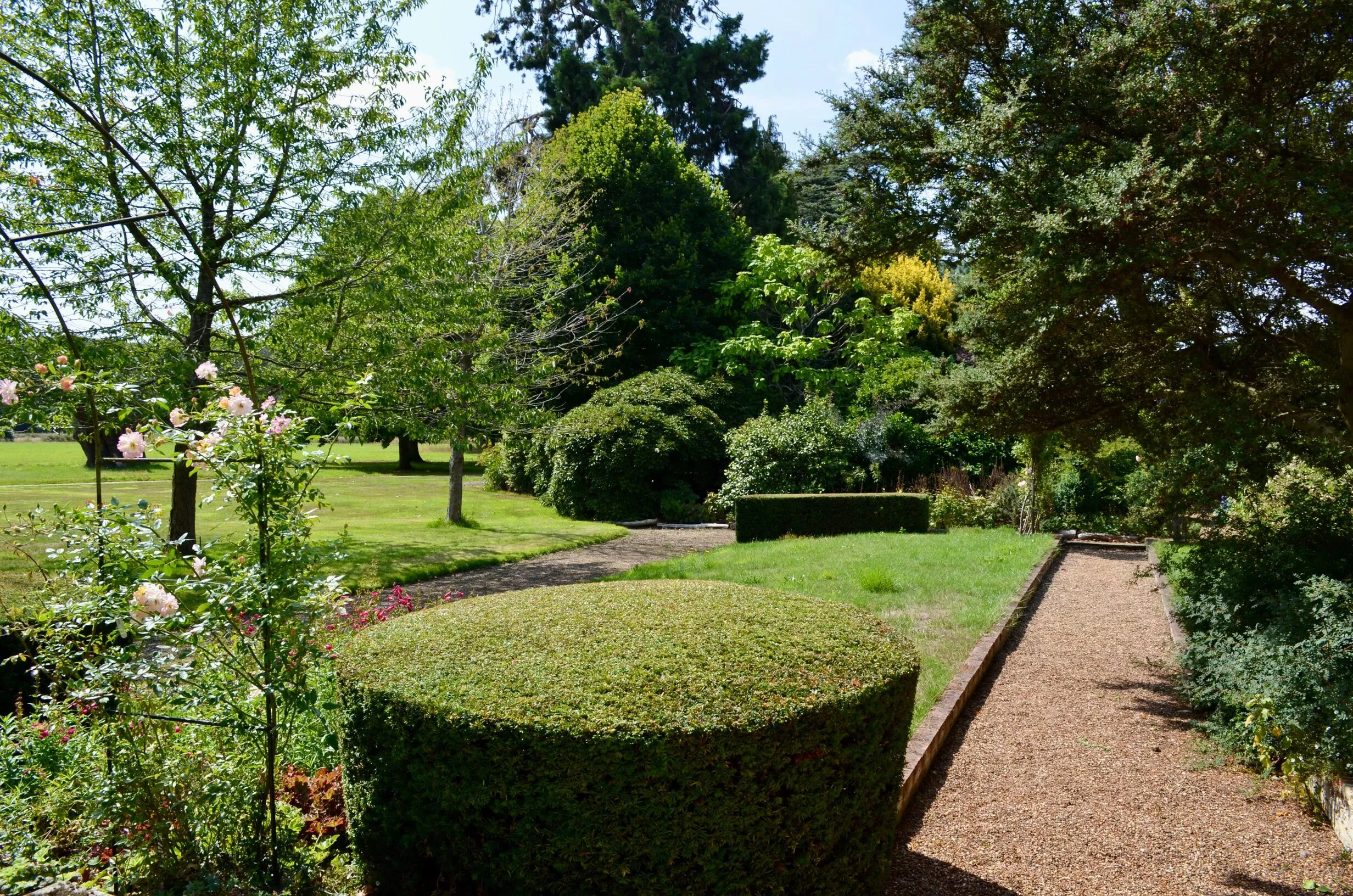 Freshly laid lawn with a clean, professional finish